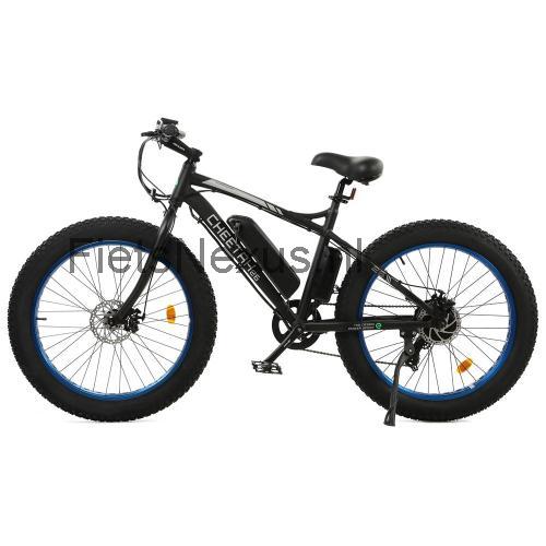 Ecotric Cheetah specificaties 